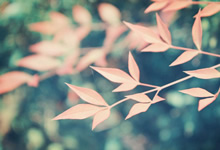 比赛激起狂热关注：城市因热血而沸腾