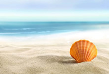 广厦男篮连战连胜，积分攀升