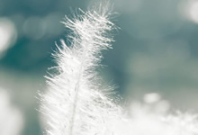 尼斯球队升级士气，迎来新的挑战