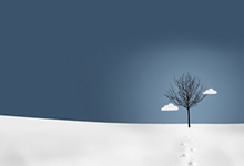 曼城赢球稳扎稳打，稳居欧洲领先宝座