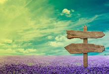 比赛激起狂热关注：城市因热血而沸腾