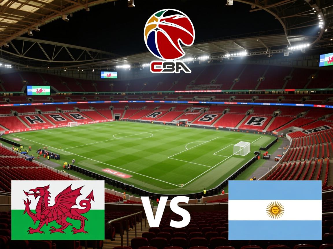 威尔士主场不敌阿根廷,遭遇失利 第3张