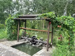 穆尔沙利主场胜利，保级希望进一步增大的简单介绍